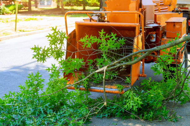 Best Soil Testing and Treatment  in Quincy, IL